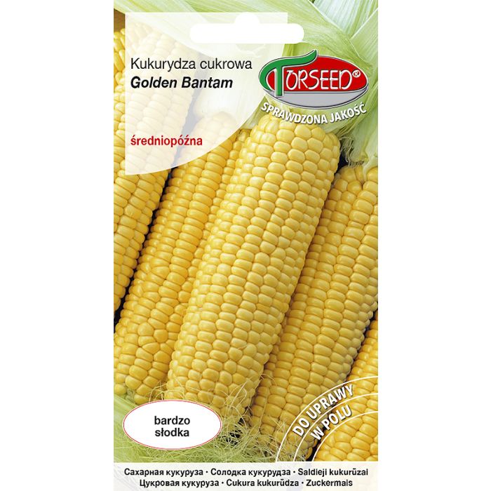 Nasiona Kukurydza cukrowa Golden Bantam 10g - Torseed, Uszkodzone opakowanie, bez ubytku main product photo