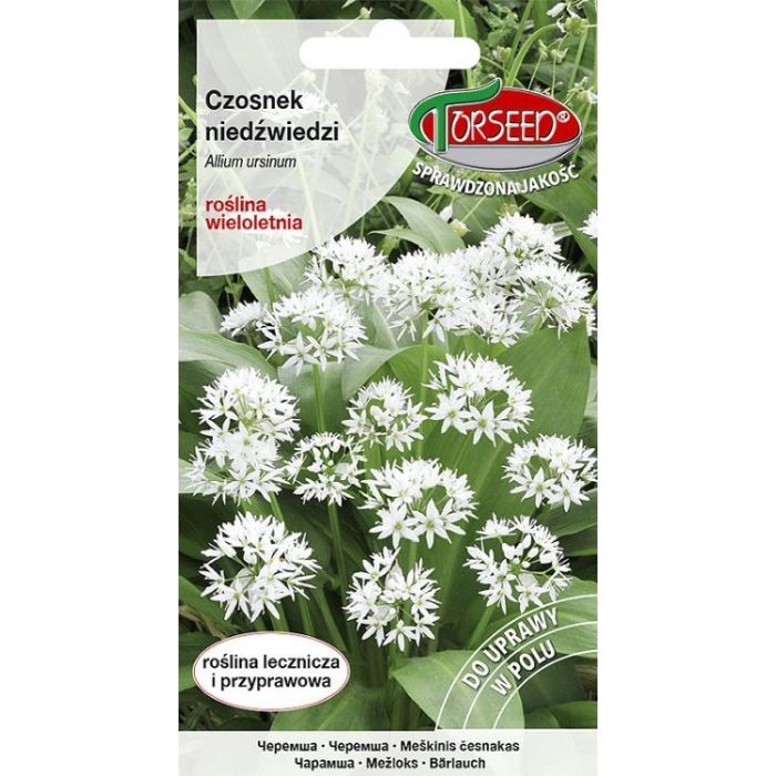 Czosnek niedźwiedzi, Allium ursinum 0,5 g - Torseed main product photo