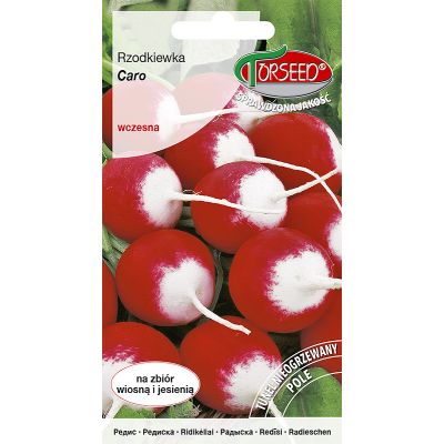 Nasiona Rzodkiewka Caro 10g - Torseed