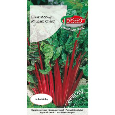 Nasiona Burak liściowy Rhubarb Chard 10g - Torseed