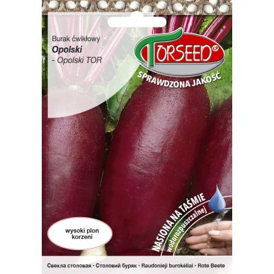 Nasiona Burak ćwikłowy Opolski TAŚMA 100szt - Torseed