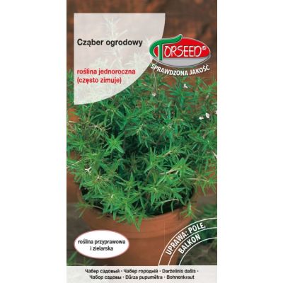 Nasiona Cząber ogrodowy, Satureja hortensis 1g - Torseed