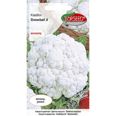 Nasiona Kalafior Snowball X 1g - Torseed