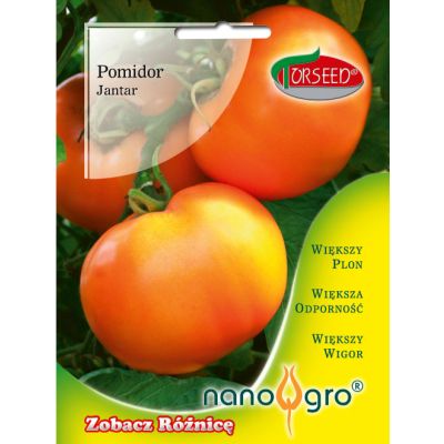 Nasiona Pomidor wysoki (pod osłony i do gruntu) Jantar NANO- Torseed