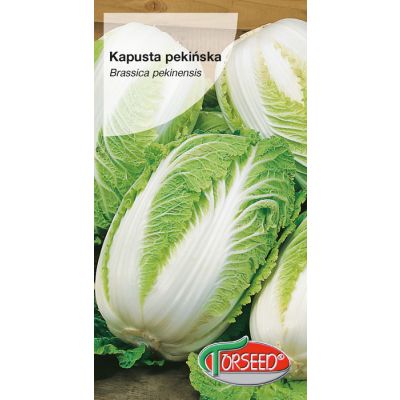 Nasiona Kapusta pekińska Hilton 0,5g - Torseed