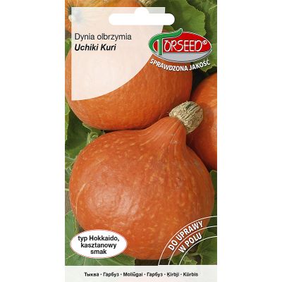 Nasiona Dynia olbrzymia Uchiki Kuri 2g - Torseed