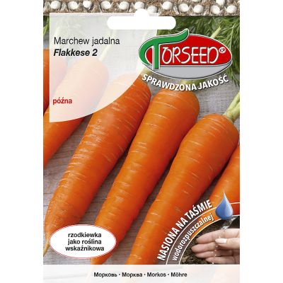 Nasiona Marchew Flakkese 2- Torseed