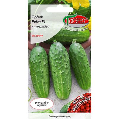 Nasiona Ogórek grunt. konserwowy Polan F1 OTOCZKA - Torseed