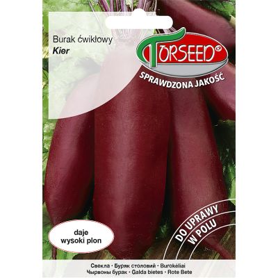 Nasiona Burak ćwikłowy Kier 10g - Torseed