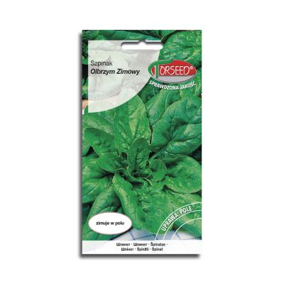nasiona Szpinak Olbrzym Zimowy 10g - Torseed