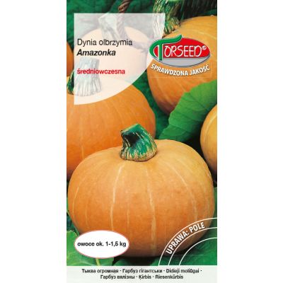 Nasiona Dynia olbrzymia Amazonka 3g - Torseed