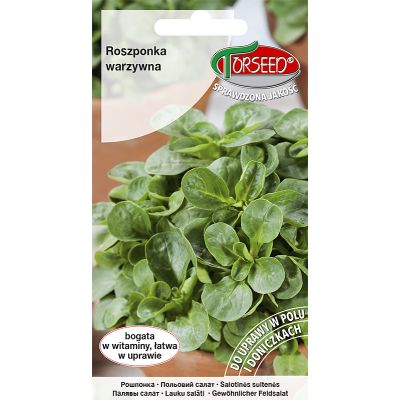 Nasiona Roszponka warzywna Verte de Cambrai 2g - Torseed