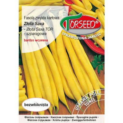 Nasiona Fasola karłowa szparagowa żółtostrąkowa Złota Saxa 30g - Torseed
