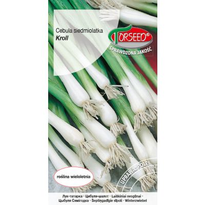 Nasiona Cebula Siedmiolatka Kroll 0,5g - Torseed