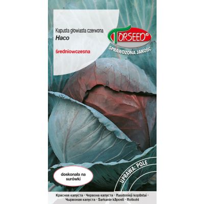Nasiona Kapusta głowiasta czerwona Haco 1g - Torseed