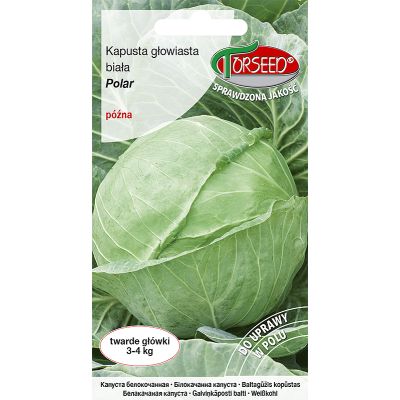 Nasiona Kapusta głowiasta biała Polar 2g - Torseed