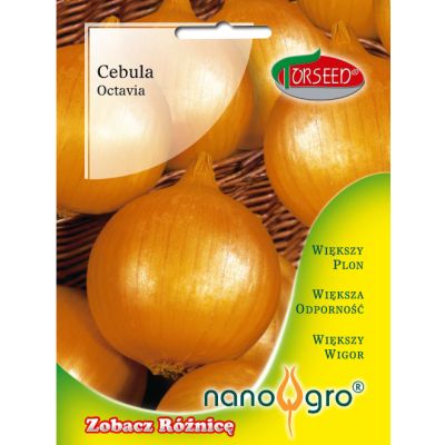 Nasiona Cebula Octavia NANO- Torseed