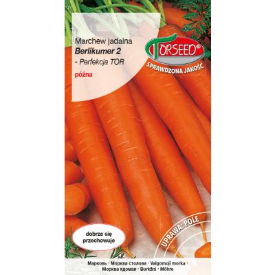 Nasiona Marchew jadalna Berlikumer 2 - Torseed