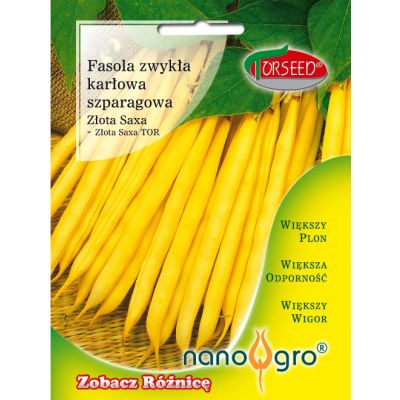 Nasiona Fasola karłowa żółta Złota Saxa NANO- Torseed