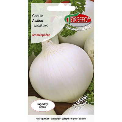 Nasiona Cebula Avalon 3g - Torseed