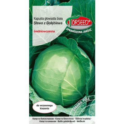 Nasiona Kapusta głowiasta biała Sława z Gołębiewa 2g - Torseed