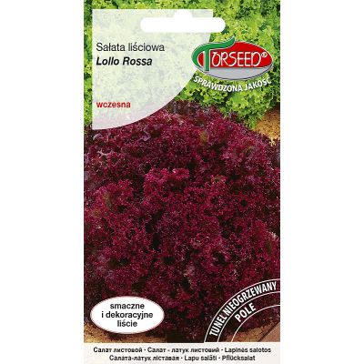Nasiona Sałata liściowa (do uprawy w polu) Lollo Rossa 0,5g - Torseed
