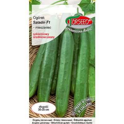 Nasiona Ogórek pod osłony Saladin F1 - Torseed