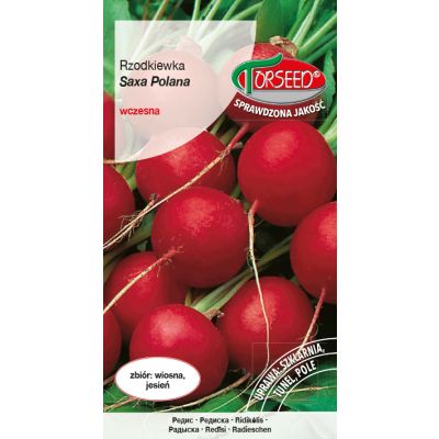 Nasiona Rzodkiewka (do upr.pod osł.i w polu) Saxa Polana 10g - Torseed