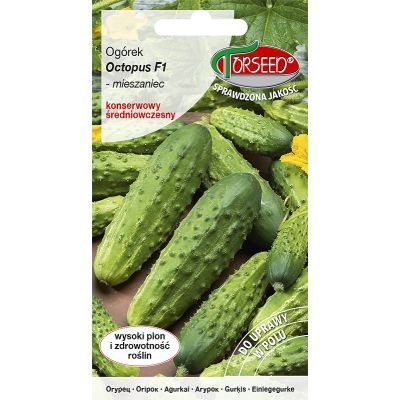 Nasiona Ogórek gruntowy konserwowy Octopus F1 20szt - Torseed