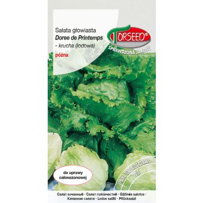 Nasiona Sałata głow krucha (do upr.w tunelu i w polu) Doree de Printemps 0,5g - Torseed