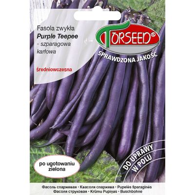 Nasiona Fasola karłowa szparagowa fioletowa Purple Teepee 30g - Torseed