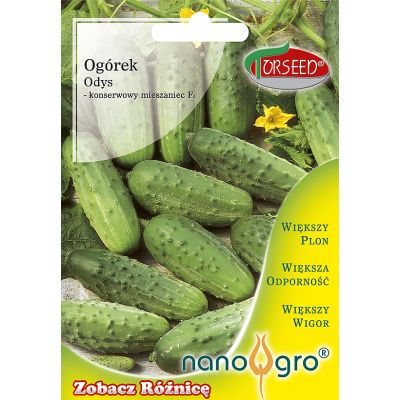 Nasiona Ogórek gruntowy konserwowy Odys F1 NANO- Torseed