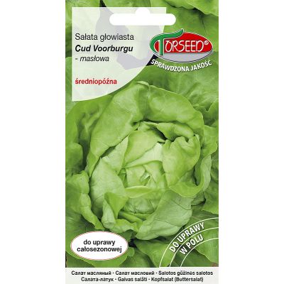 Nasiona Sałata głowiasta masłowa Cud Voorburgu 1g - Torseed