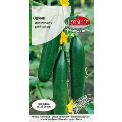 Nasiona Ogórek pod osłony Atos F1 1g - Torseed