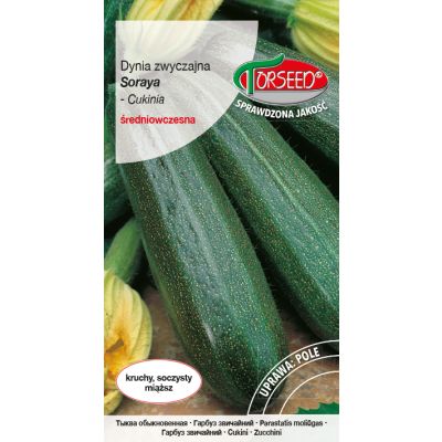 Nasiona Dynia zwyczajna Cukinia Soraya TOR 2g - Torseed