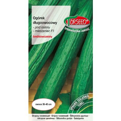 Nasiona Ogórek pod osłony Dukat F1 - Torseed