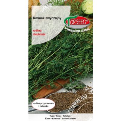 nasiona Kminek zwyczajny, Carum carvi 2g - Torseed