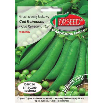 Nasiona Groch siewny łuskowy o nasionach pomarszczonych Cud Kelvedonu 50g - Torseed