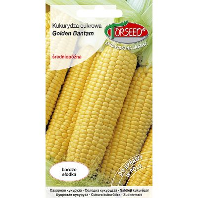 Nasiona Kukurydza cukrowa Golden Bantam 10g - Torseed