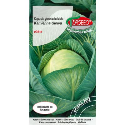 Nasiona Kapusta głowiasta biała Kamienna Głowa 2g - Torseed