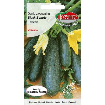 Nasiona Cukinia Black Beauty wczesna 2g - Torseed