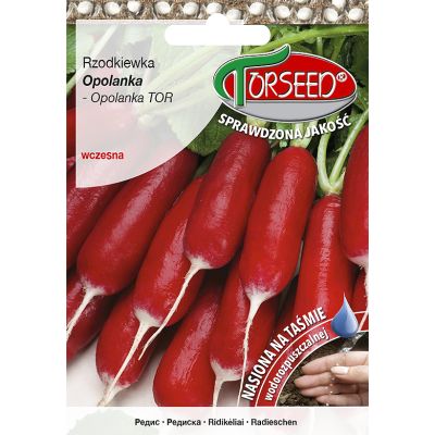 Nasiona Rzodkiewka (do upr.pod osł.i w polu) Opolanka TAśMA 165szt - Torseed
