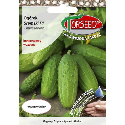 Ogórek gruntowy nasiona konserwowy Śremski F1 TAŚMA 5g - Torseed