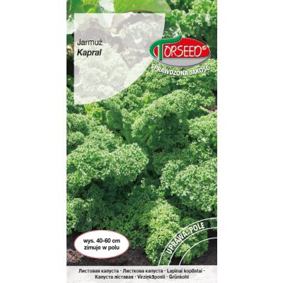 Nasiona Jarmuż Kapral 1g - Torseed