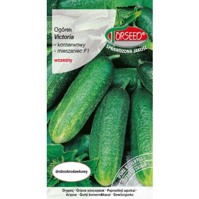 Nasiona Ogórek gruntowy konserwowy Victoria F1 5g - Torseed
