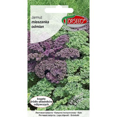 Nasiona Jarmuż mieszanka odmian 1g - Torseed