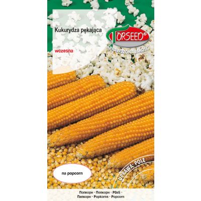 Nasiona Kukurydza pękająca - Torseed
