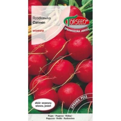 Nasiona Rzodkiewka Carmen 10g - Torseed