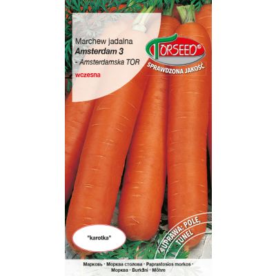 Nasiona Marchew jadalna Amsterdam 3 - Torseed