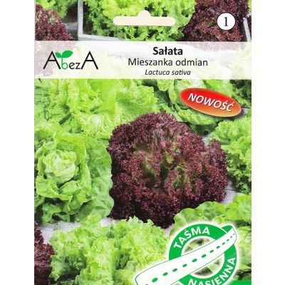 Nasiona Sałata mieszanka odmian TAŚMA 60szt - Torseed